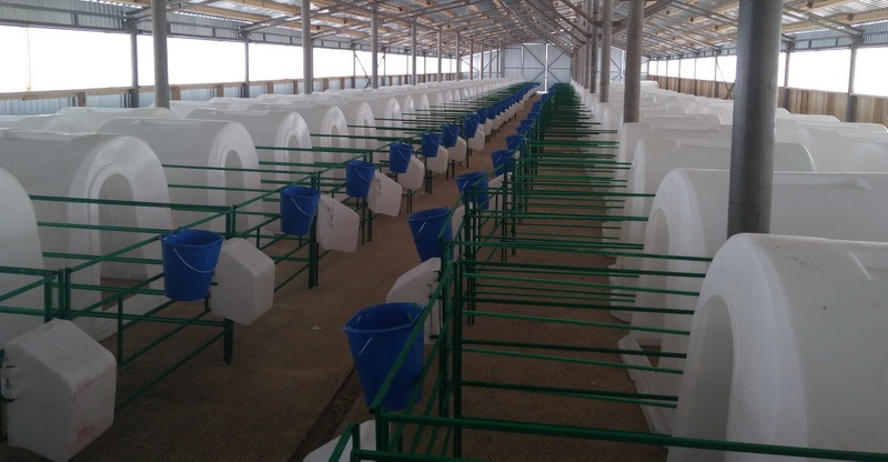 Домики пластиковые для содержания телят