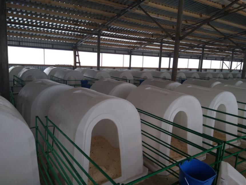 Домики для телят в Нижнем Новгороде