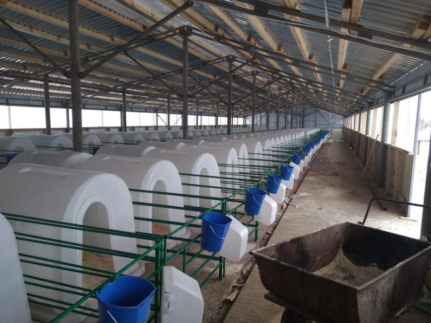 Домики для телят в Нижнем Новгороде