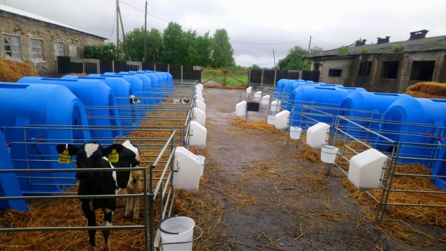 Домики для телят в Нижнем Новгороде